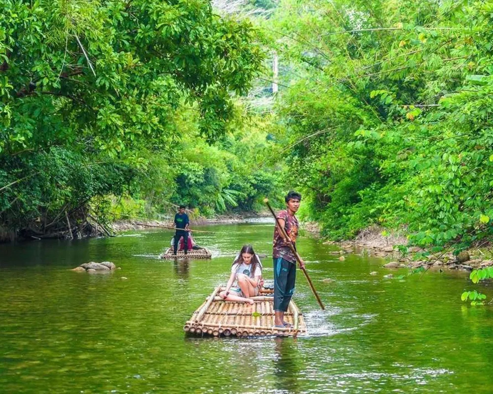 Jungle Tours