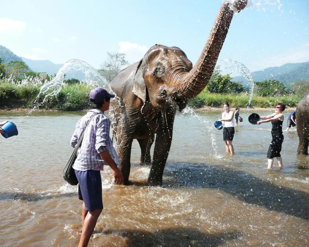 Elephant Sanctuary