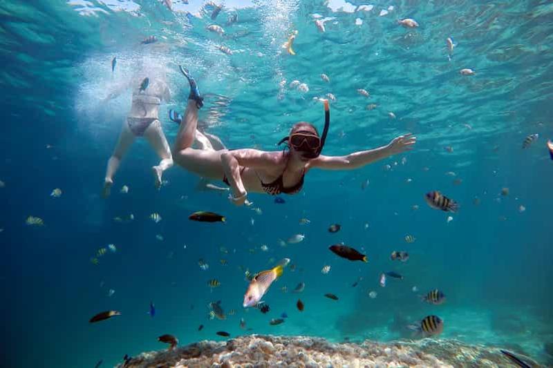 Tourists snorkeling with colorful fish in the clear water around Phi Phi Islands.
