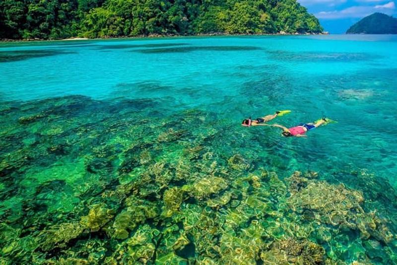 A guided snorkeling tour in the Surin Islands with Seastar Andaman, exploring the vibrant marine lif