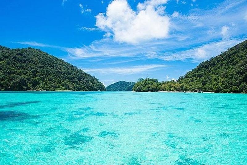 Snorkeling day trip at the Surin Islands, exploring vibrant coral reefs and abundant marine life.