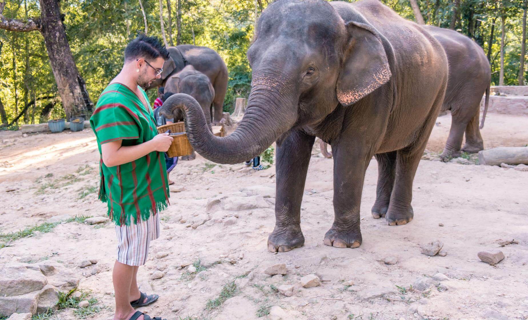 Experience elephant tours in Thailand with ASPH Explore Elephant, feeding and interacting with eleph