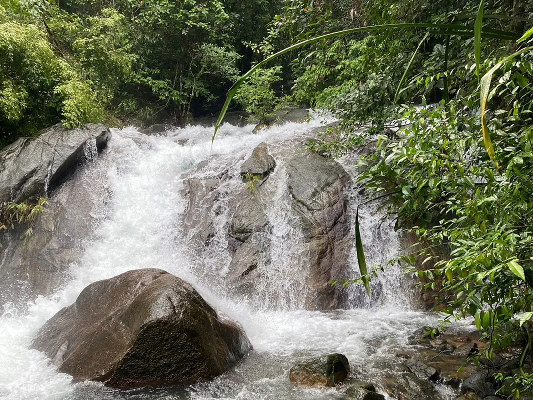 Experience the thrill of ATV riding in Thailand, navigating rugged terrains and exploring scenic lan
